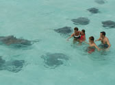 Grand Cayman Grand Cayman