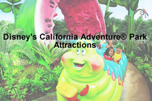 Disney's California Adventure Attractions
