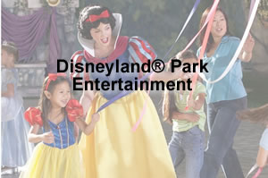 Disneyland Entertainment