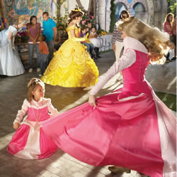 Disney Princess Fantasy Faire