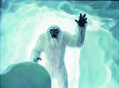 Matterhorn Bobsleds
