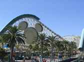 California Screamin' California Screamin'