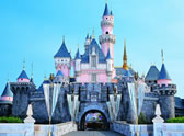 Disneyland: The First 50 Magical Years