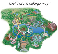 Disney's Animal Kingdom� Theme Park