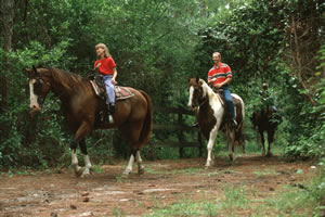 Horseback Riding in Walt Disney World