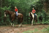 Tri-Circle-D Ranch