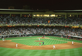 Disney's Wide World of Sports Complex