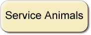 Service Animals