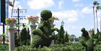 Flower and Garden Epcot Picture